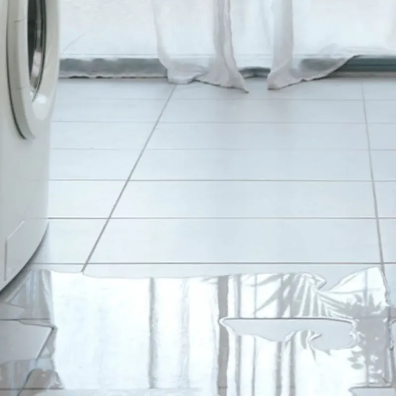 Appliance Leak Cleanup in Pleak, TX