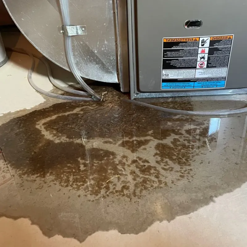 Pipe Burst and Leak Restoration in Pleak, TX