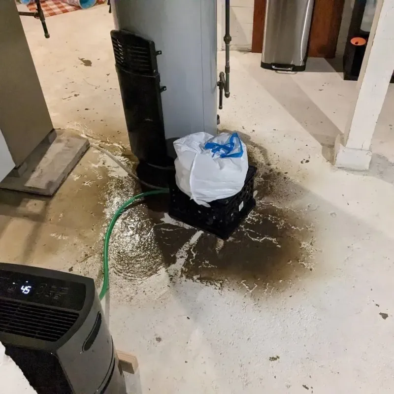Sewage Backup Cleanup Service in Pleak, TX